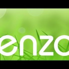 Insights to Enzo: An Interview with Paul Krizan