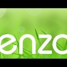 Insights to Enzo: An Interview with Paul Krizan